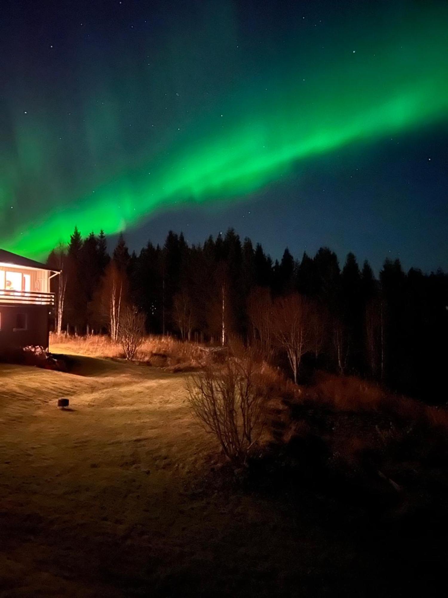 Marta'S Home-Cozy Appartment Near The Airport Andselv Bagian luar foto
